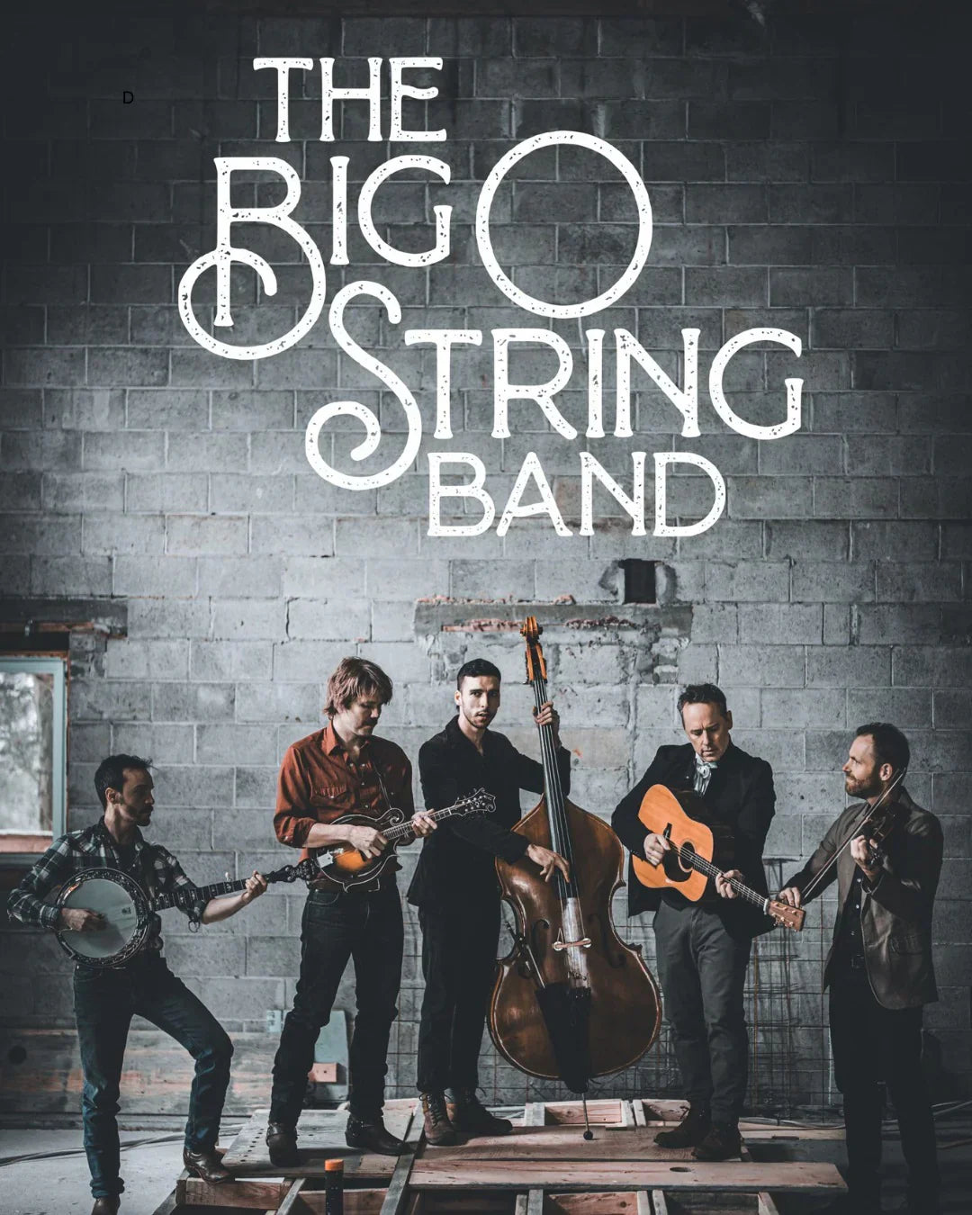 The Big O String Band au Treehouse Studio : un souffle bluegrass entre les branches du Treehouse